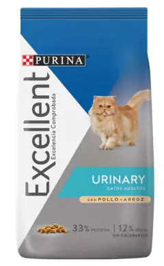 Excellent Urinario