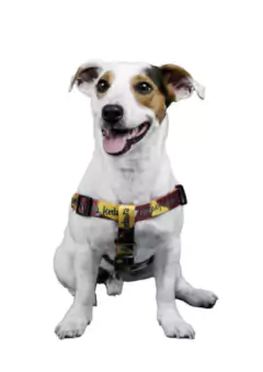 Pretal Harry - tienda online