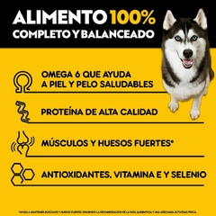 Pedigree Adult@ High Protein en internet