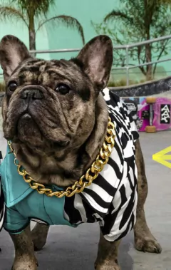 Camisa Zafari - comprar online