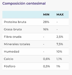 Therapy Gastrointestinal - Chila Pet's