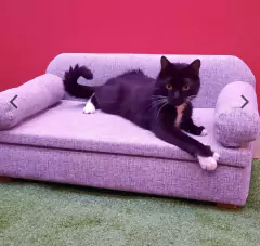 Sofá - tienda online