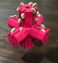 Kong Cruz en internet