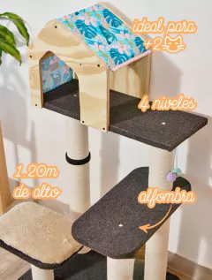 Gimnasio Rascador Blue en internet