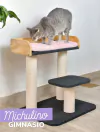 Gimnasio michulino