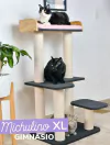 Gimnasio Michulino XL