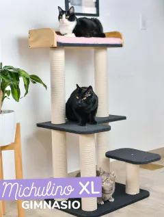 Gimnasio Michulino XL