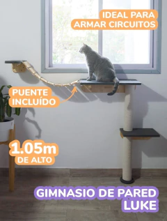 Gimnasio de pared Luke