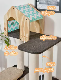 Gimnasio Rascador Rex en internet