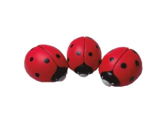 Vaquita de San Antonio Chila Pets