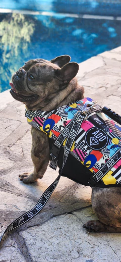 Salvavida - Chila Pet's