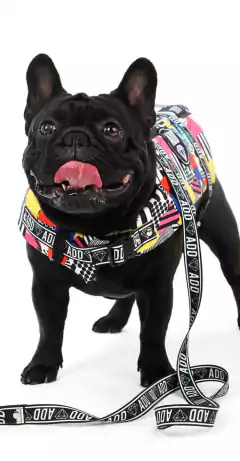 Salvavida - comprar online