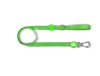 Correa Solid - Green -