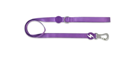 Correa Solid – Purple-