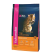 Eukanuba Gato Adulto