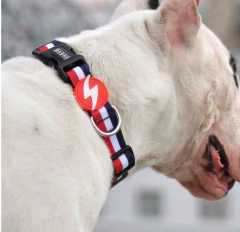 Collar Dashi - Red and Blue- - comprar online