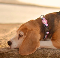 Collar Dashi -Pink and Black- - comprar online