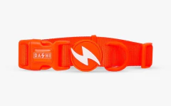 Collar Dashi -Neon - (Brilla) - tienda online