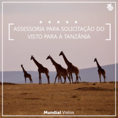 Visto para a Tanzânia - valor por pessoa referente à assessoria documental. on internet