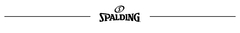 Banner de la categoría Spalding