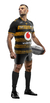 LONDON WASPS 2023 ADULTOS - CAMISETA RUGBY KAPHO