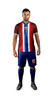 Imagen de NORUEGA HAALAND - CAMISETA FUTBOL KAPHO ADULTOS