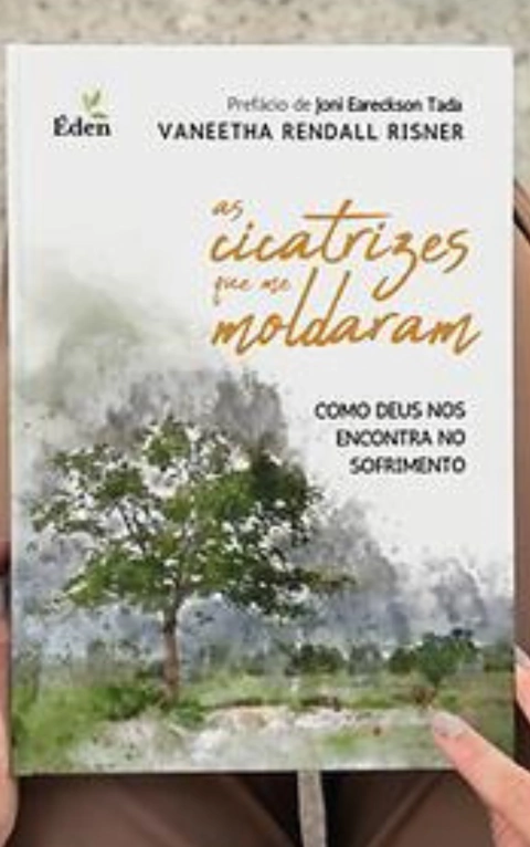 AS CICATRIZES QUE NOS MOLDARAM - Vaneetha Risner