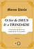 O SER DE DEUS E A TRINDADE (Comentário da 1CFL – Volume II) - Marcus Vinícius Costa Paixão