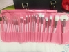 Set 24 brochas rosa profesional + manta