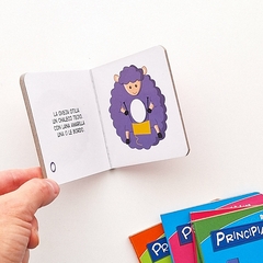 Biblioteca Principiantes - comprar online