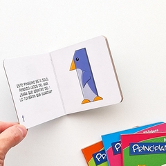 Biblioteca Principiantes en internet