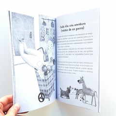 Quiero una mascota - tienda online