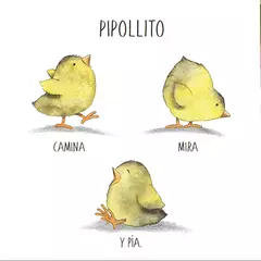 PIPOLLITO en internet
