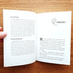 AMADEO Y OTRA GENTE EXTRAORDINARIA - comprar online