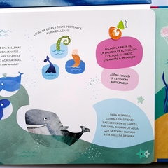 ABREMENTE PARA ESCRIBIR, BORRAR Y ESCUCHAR: ANIMALES DEL OCÉANO - Lectorcitos a volar • Librería infantil 