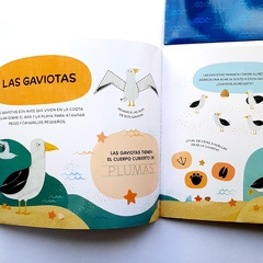 ABREMENTE PARA ESCRIBIR, BORRAR Y ESCUCHAR: ANIMALES DEL OCÉANO - tienda online