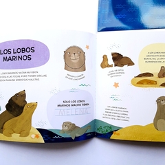 ABREMENTE PARA ESCRIBIR, BORRAR Y ESCUCHAR: ANIMALES DEL OCÉANO
