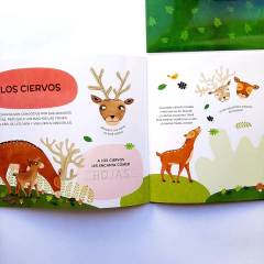 ABREMENTE PARA ESCRIBIR, BORRAR Y ESCUCHAR: ANIMALES DEL BOSQUE en internet