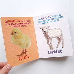 ANIMALES ADORABLES - Mis Maravillosos Sentidos - Texturas - comprar online
