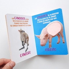 ANIMALES ADORABLES - Mis Maravillosos Sentidos - Texturas en internet