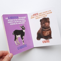 Imagen de ANIMALES ADORABLES - Mis Maravillosos Sentidos - Texturas