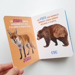 ANIMALES SALVAJES - Mis Maravillosos Sentidos - Texturas - comprar online