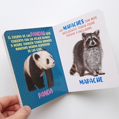 Imagen de ANIMALES SALVAJES - Mis Maravillosos Sentidos - Texturas