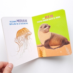 ANIMALES DEL MAR - Mis Maravillosos Sentidos - Texturas en internet
