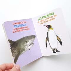 Imagen de ANIMALES DEL MAR - Mis Maravillosos Sentidos - Texturas