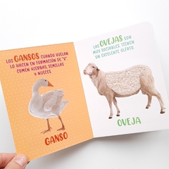 ANIMALES DE GRANJA - Mis Maravillosos Sentidos - Texturas - comprar online