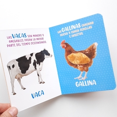 ANIMALES DE GRANJA - Mis Maravillosos Sentidos - Texturas en internet