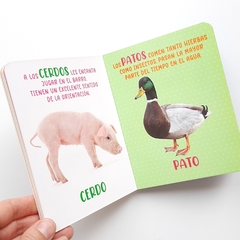 ANIMALES DE GRANJA - Mis Maravillosos Sentidos - Texturas - tienda online