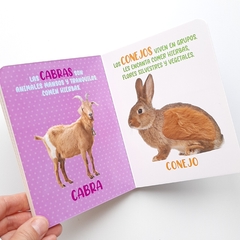 Imagen de ANIMALES DE GRANJA - Mis Maravillosos Sentidos - Texturas