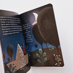Imagen de EL LIBRO DE LOS PECES ROJOS